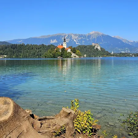 Apartman Hill Žirovnica