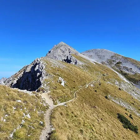 Hill Daire Zirovnica