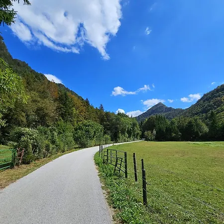 Daire Hill Zirovnica