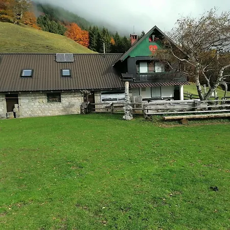 Hill Zirovnica