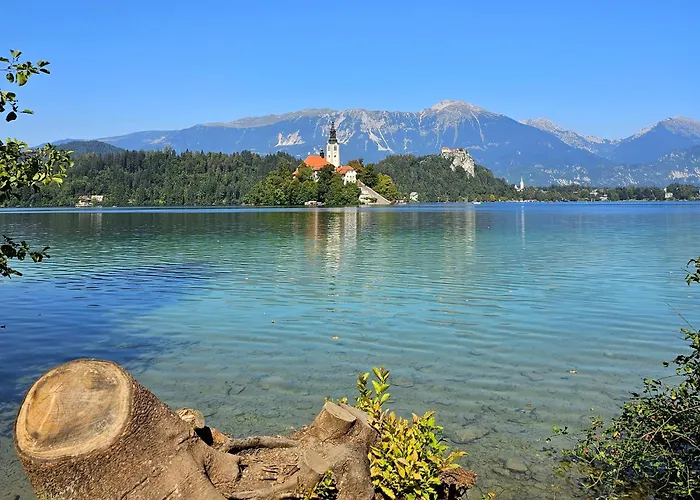 Apartament Hill Zirovnica