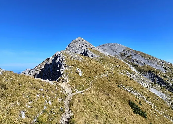 Hill アパート ゴレンスカ地方