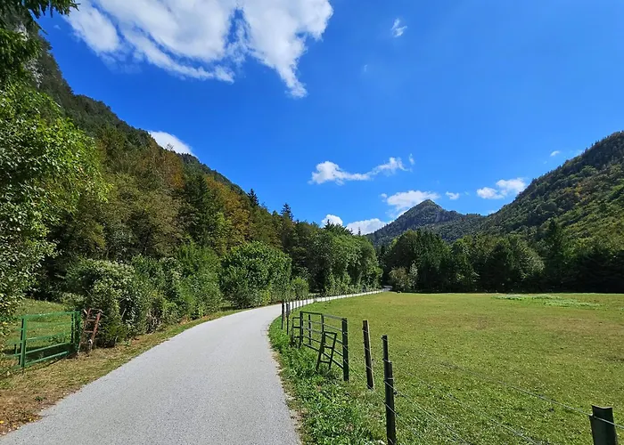 Apartament Hill Zirovnica